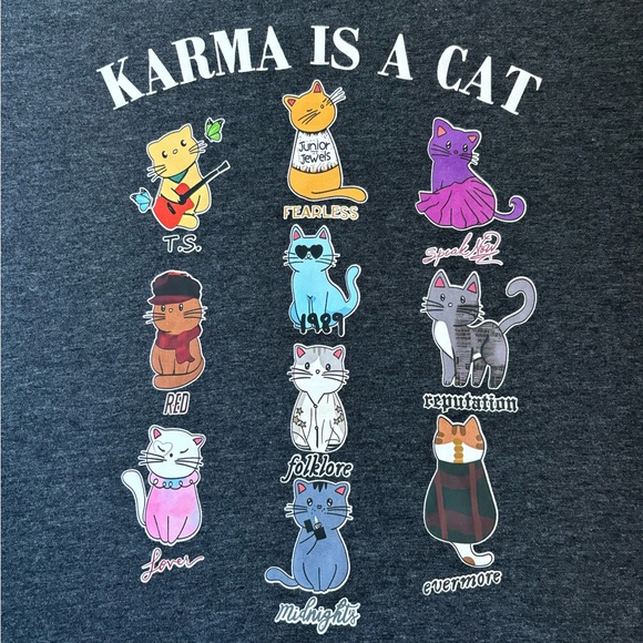 taylor swift karma is a cat grey eras tour t-shirt - Picture 6 of 11
